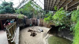 African Rainforest Pavilion