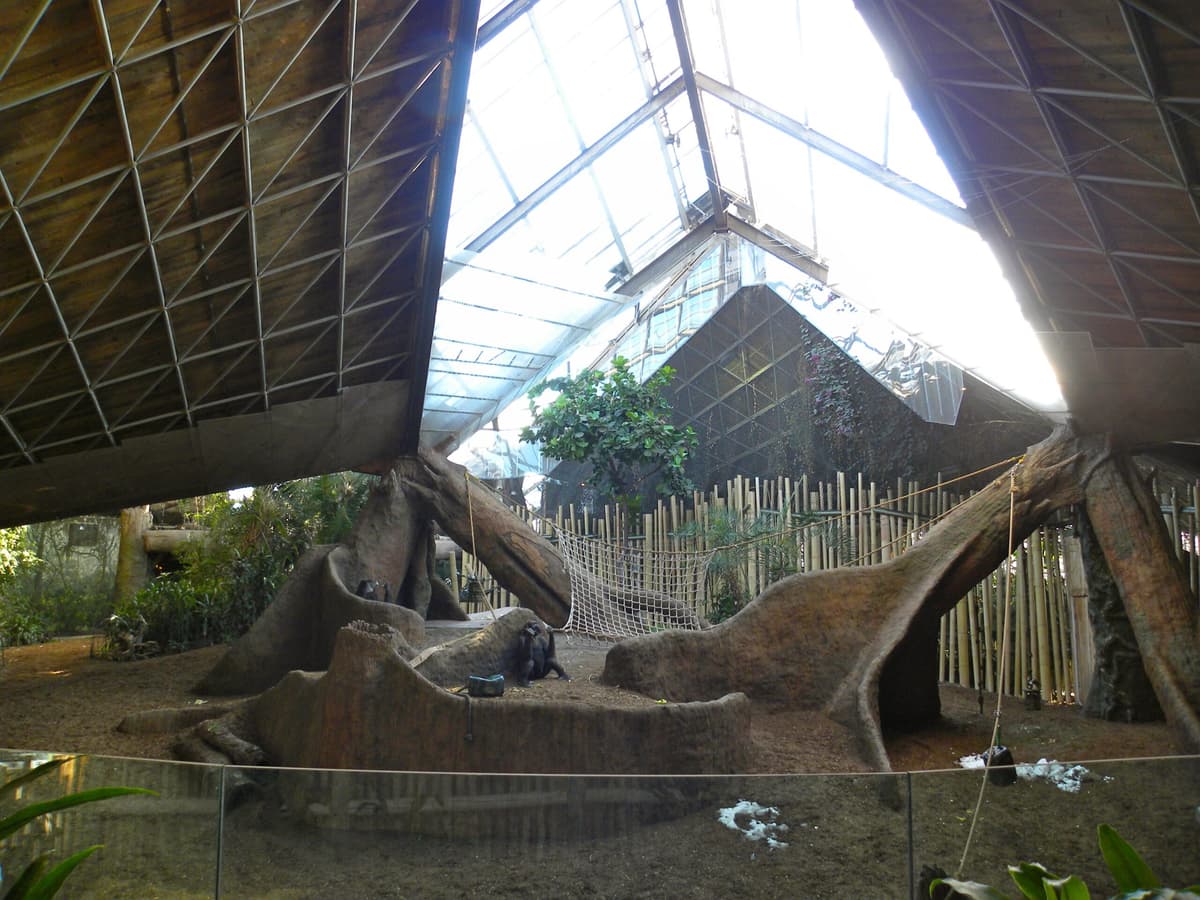 African Rainforest Pavilion, photo 1 of 2