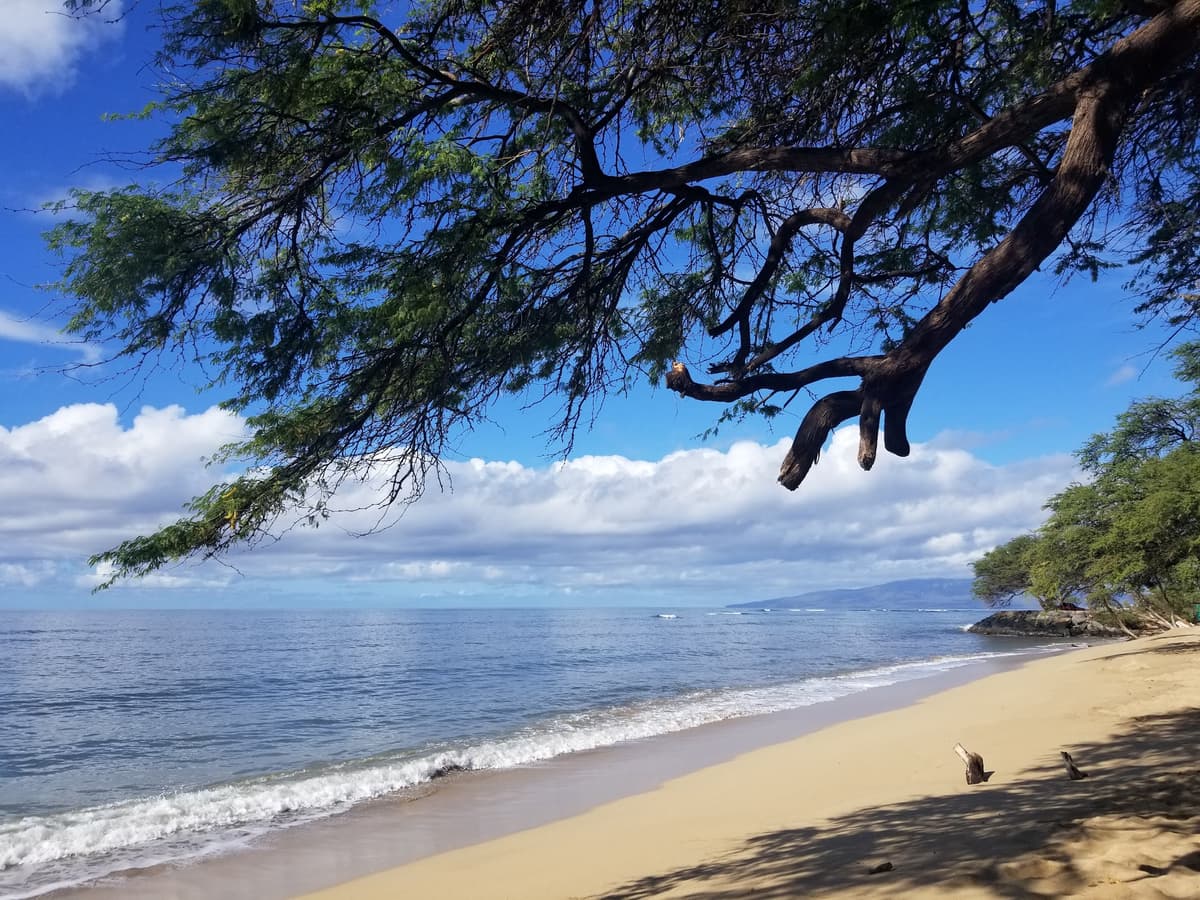 Papalaua Wayside Park