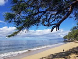 Papalaua Wayside Park