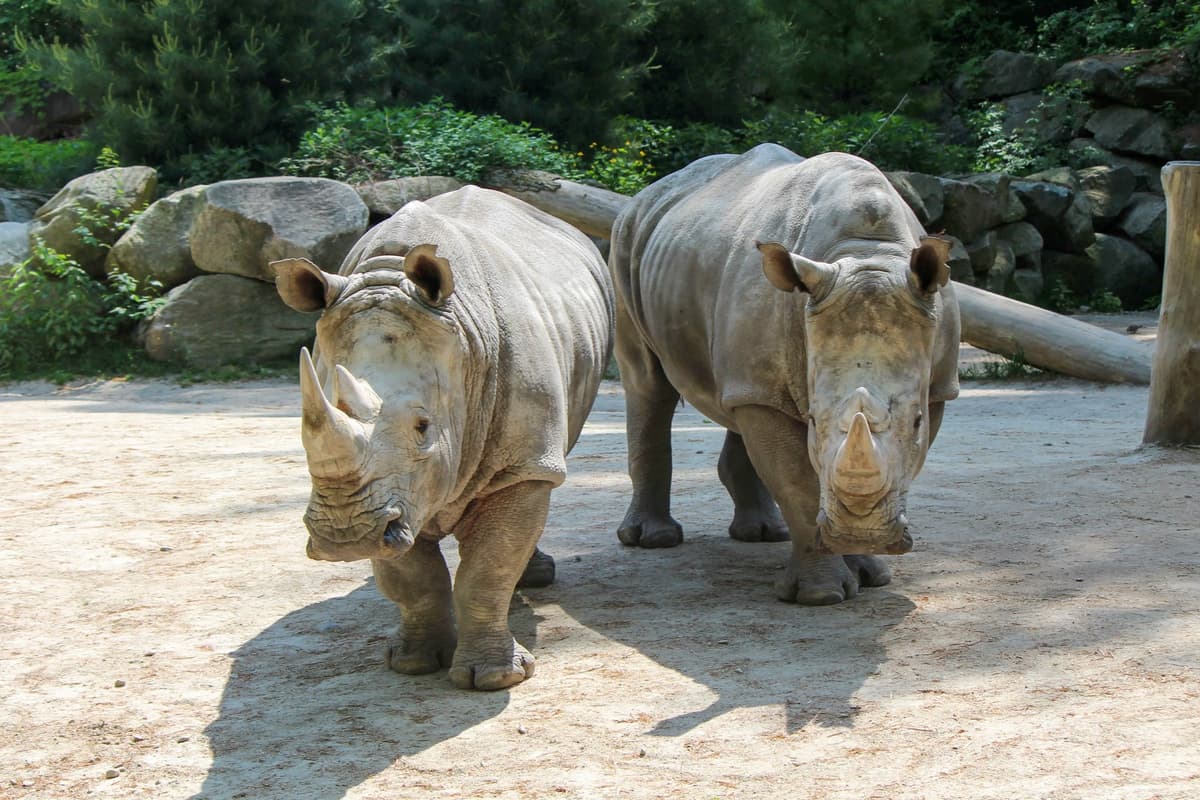 Southwick's Zoo