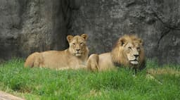 North Carolina Zoo