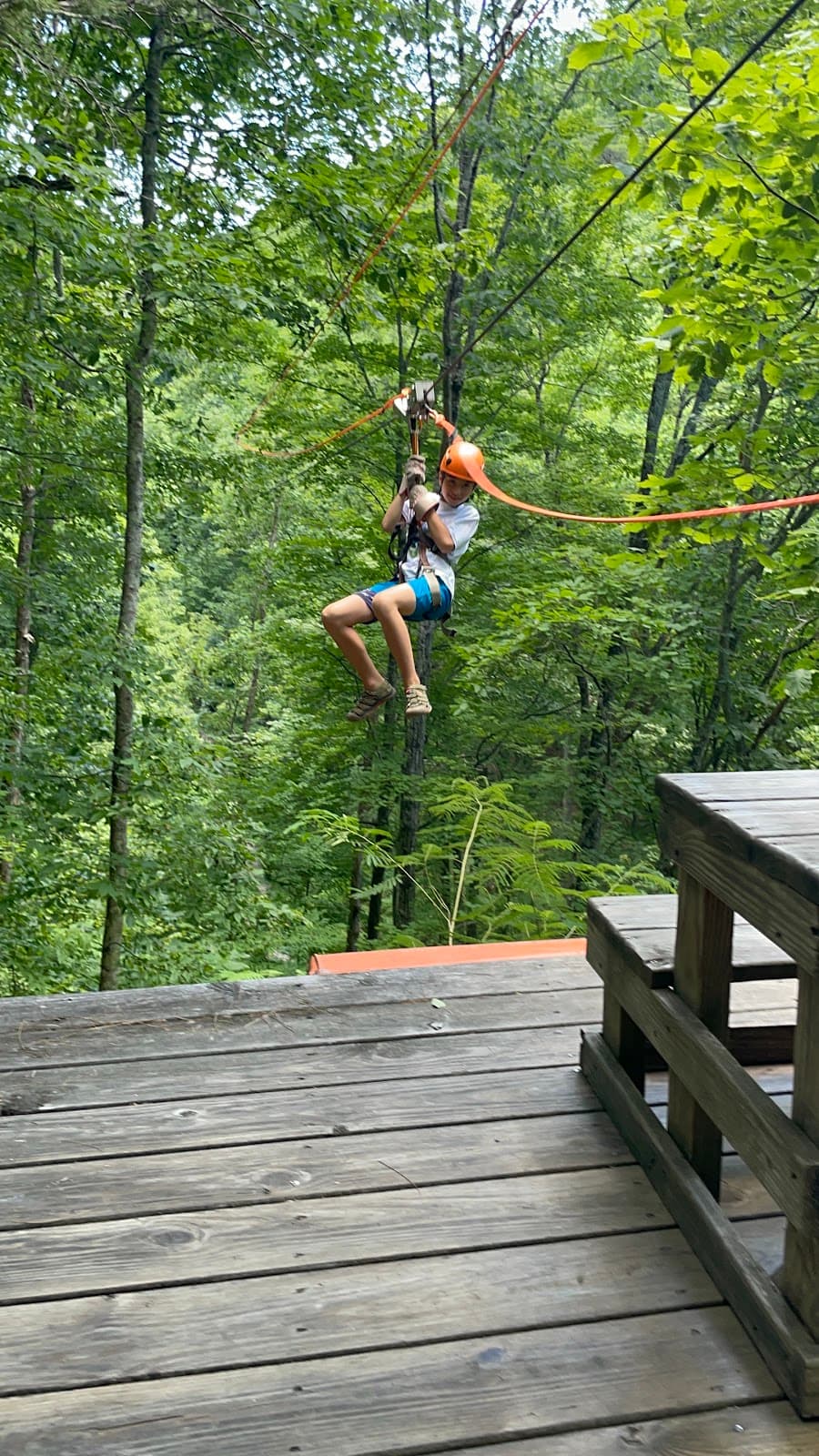 Aerial Adventure Park