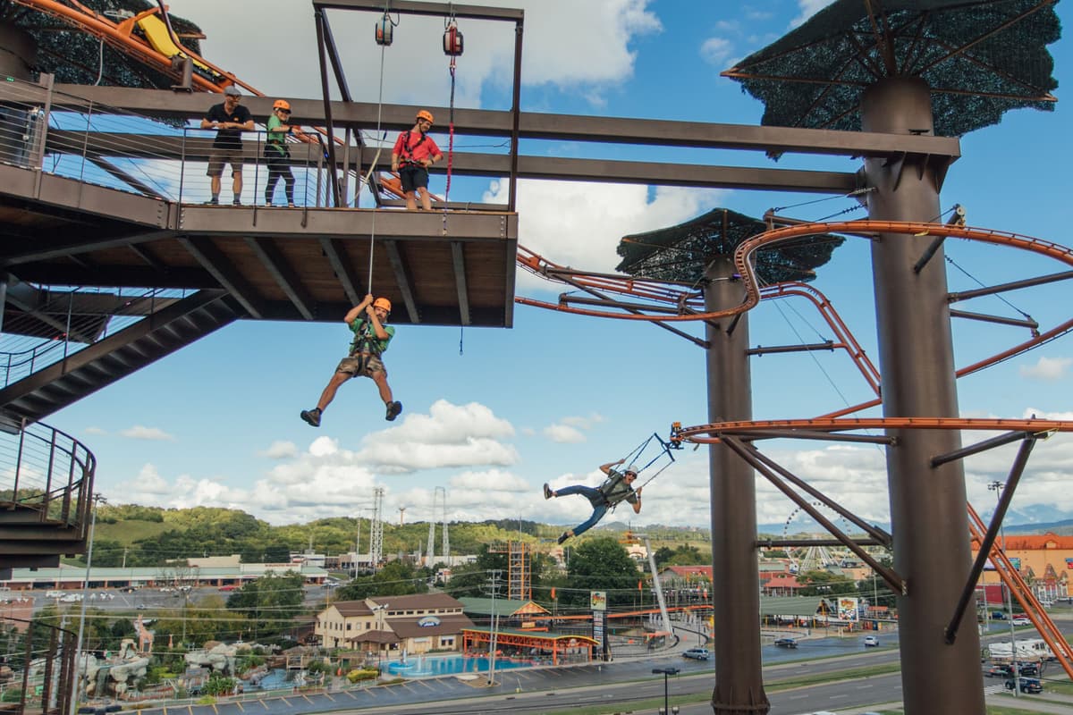 Aerial Adventure Park, photo 1 of 6