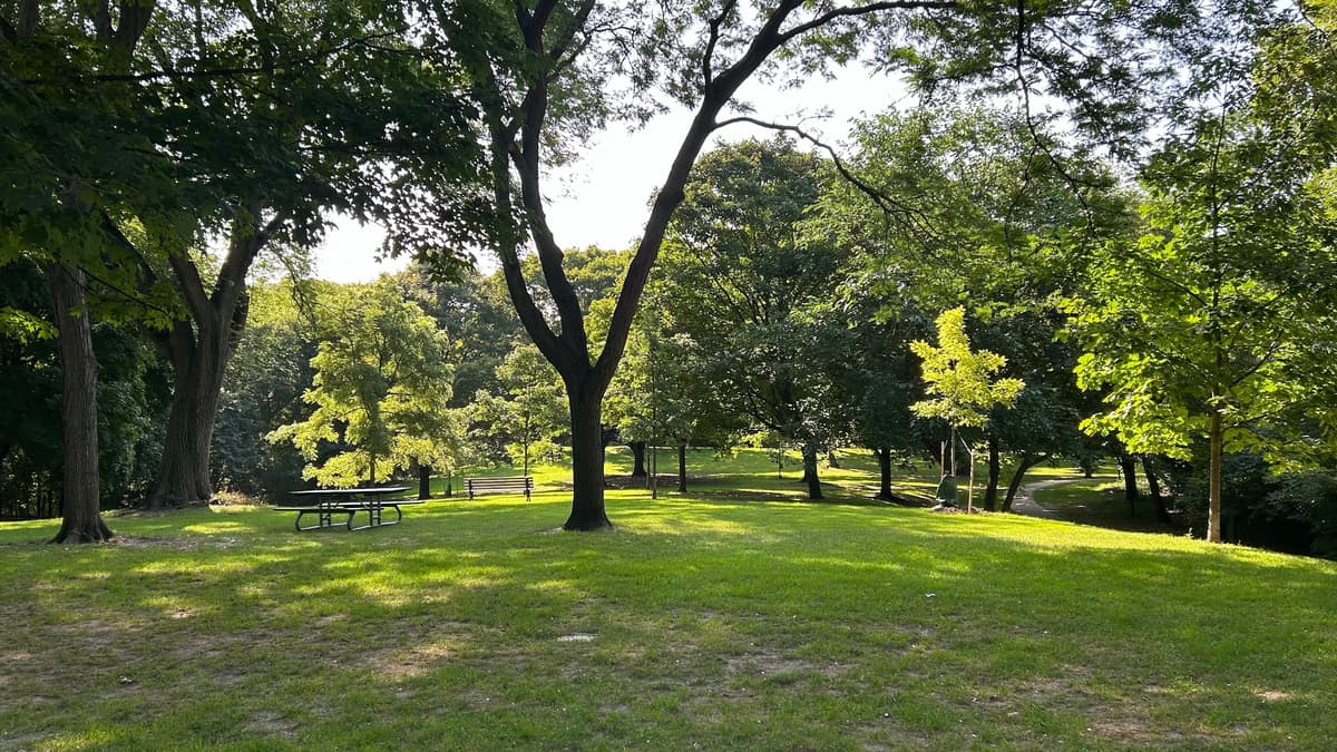 Wellesley Park, photo 1 of 1