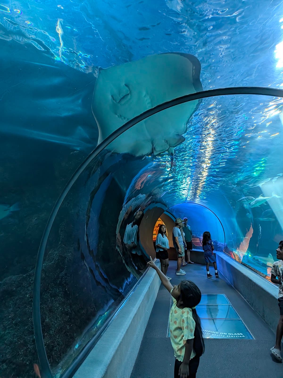 Maui Ocean Center
