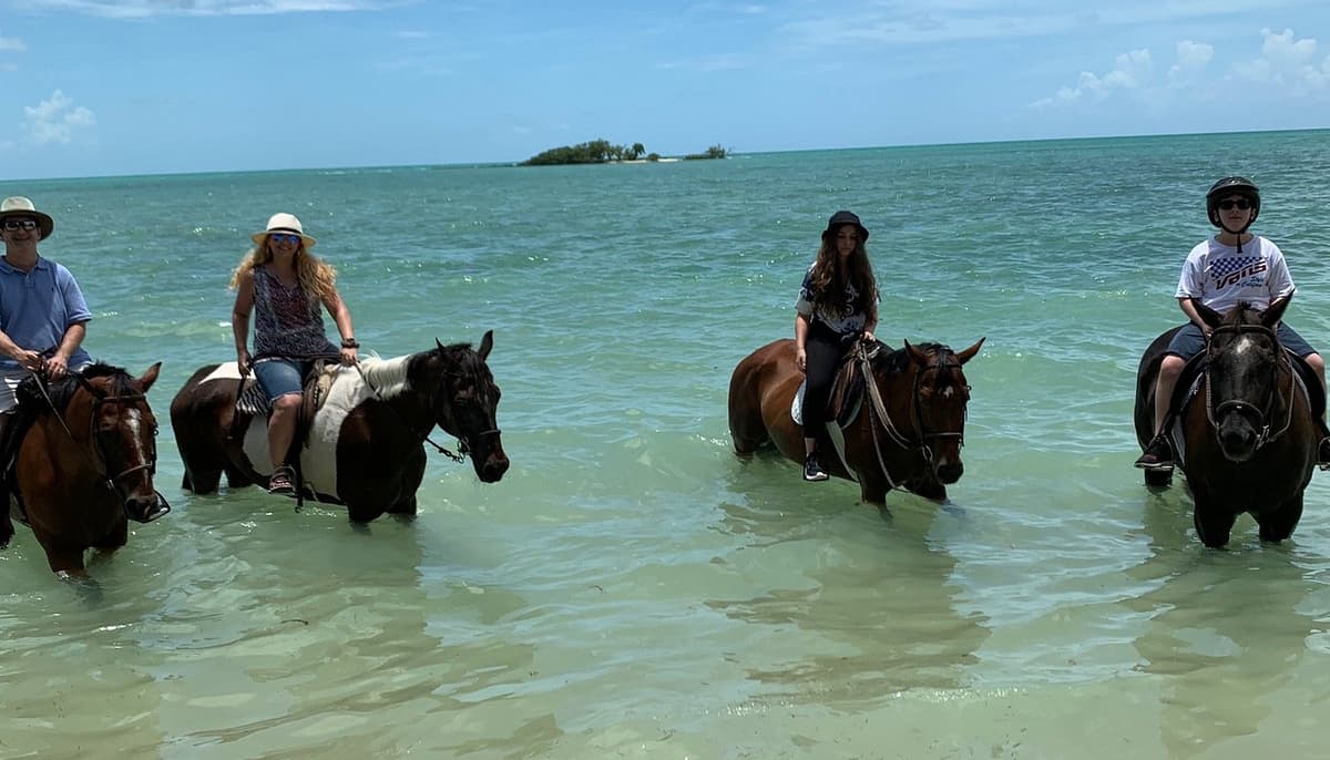 Happy Trails Horseback Riding