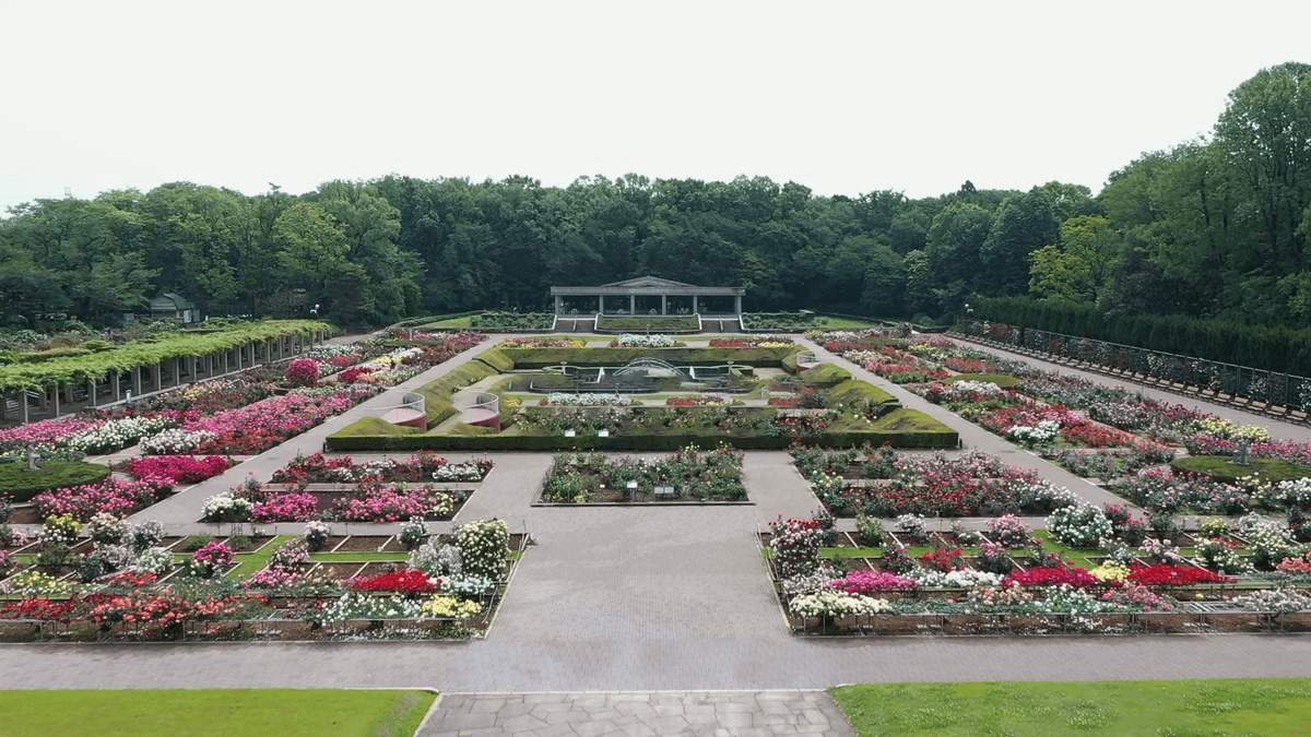 Jindai Botanical Gardens