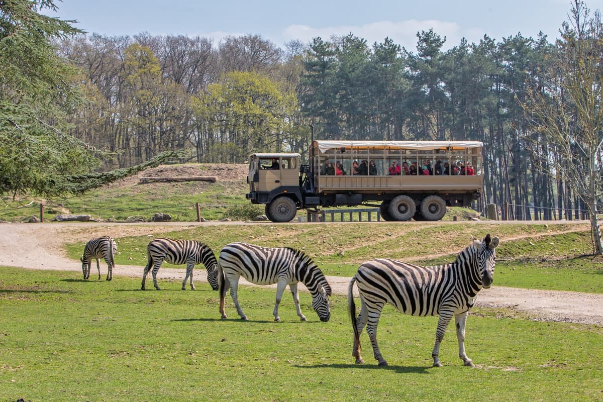 WOW Safari Thoiry