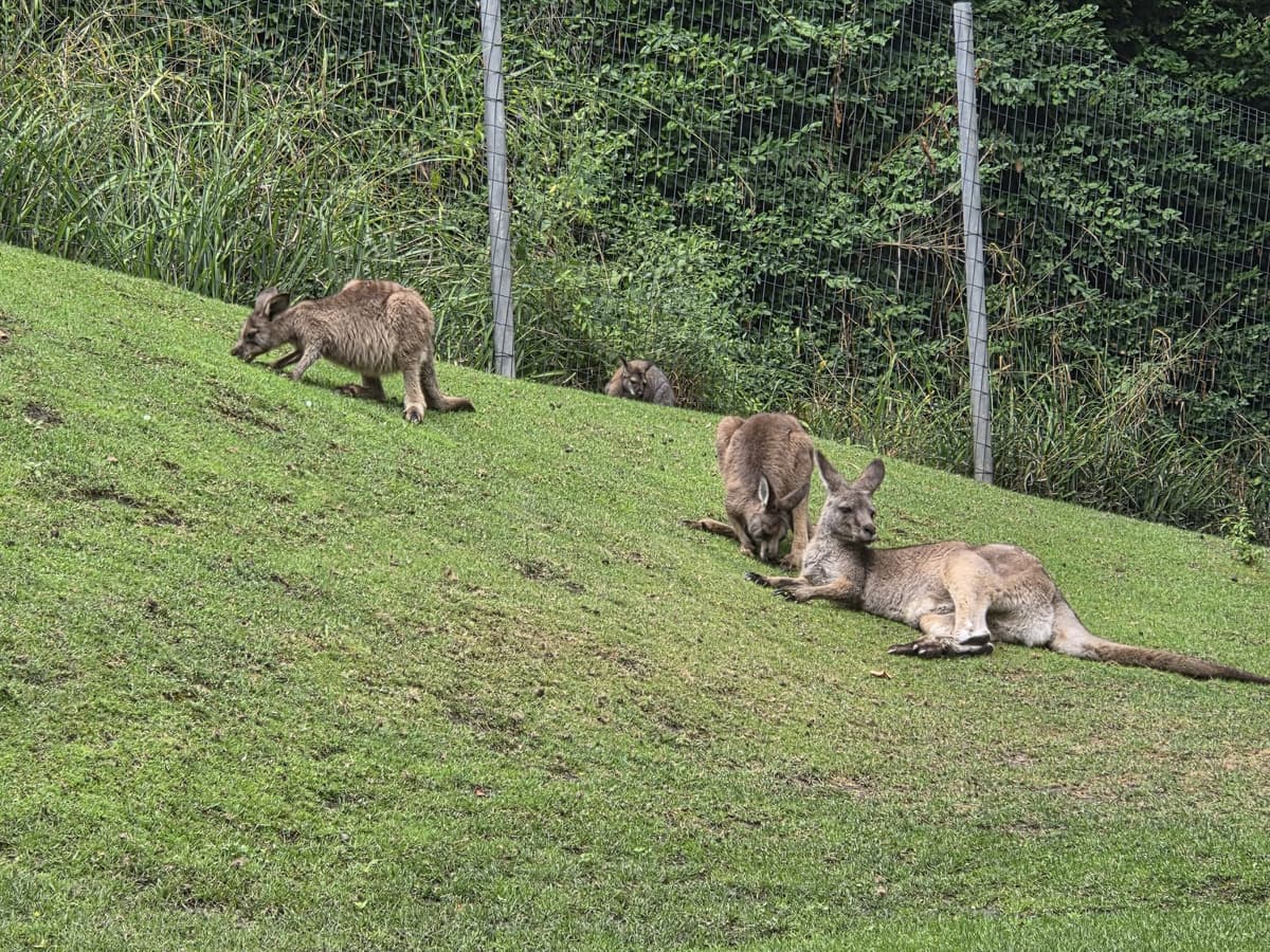 Prague Zoo