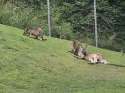 Prague Zoo