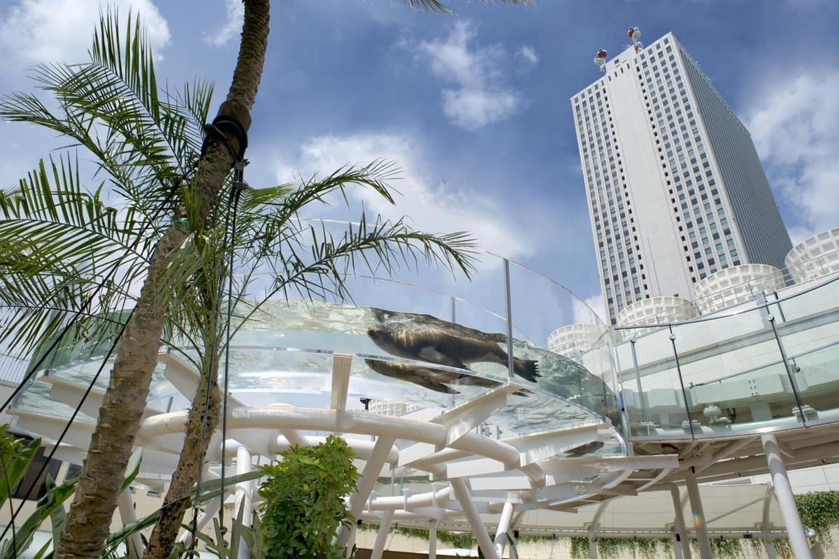 Sunshine Aquarium