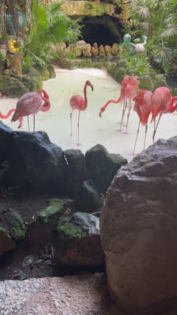 Enjoy Cancun Tours