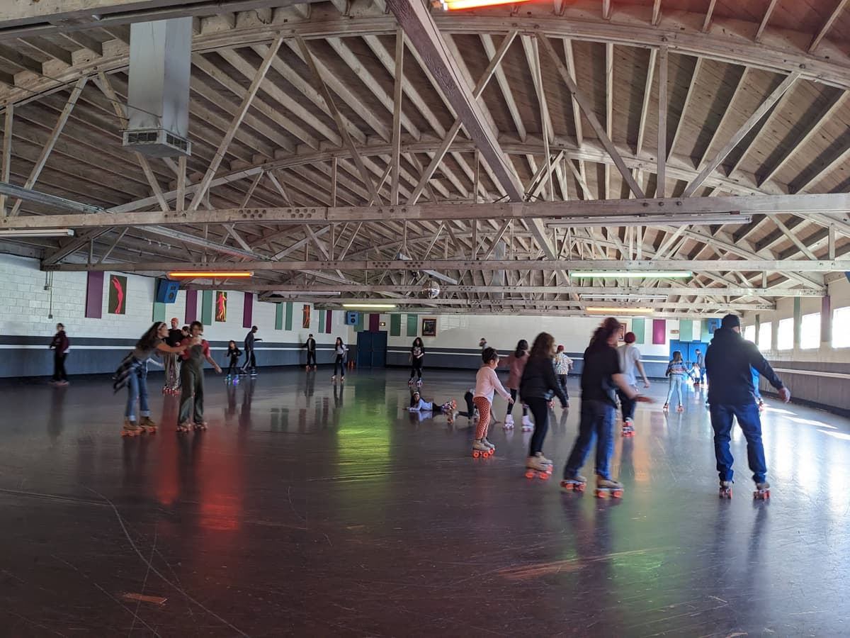 Santa Cruz Roller Palladium