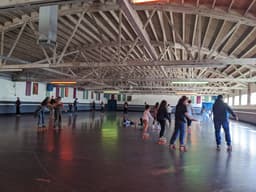 Santa Cruz Roller Palladium