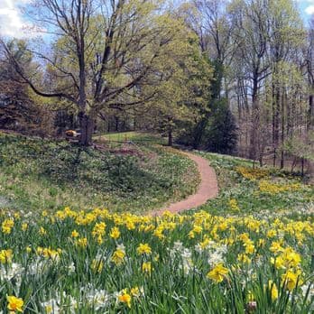 Reeves-Reed Arboretum