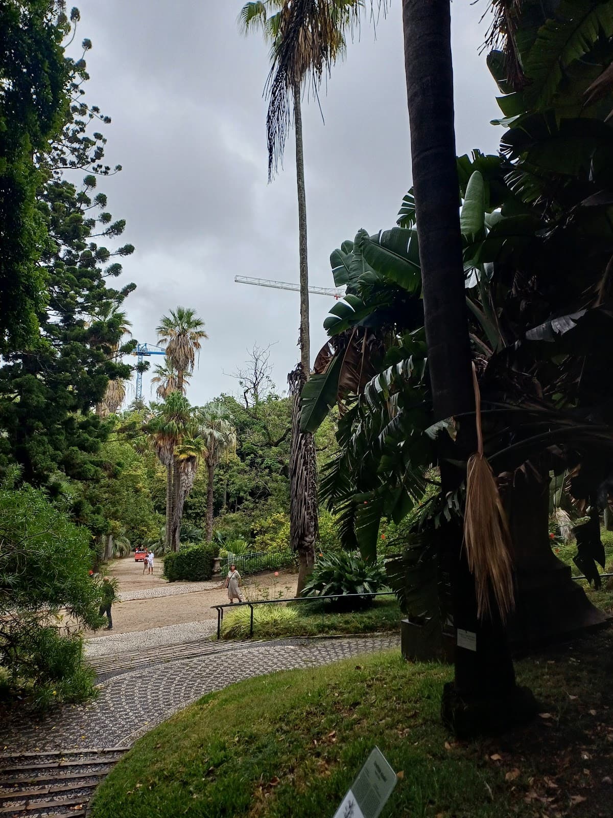 Jardim Botânico de Lisboa, photo 1 of 1