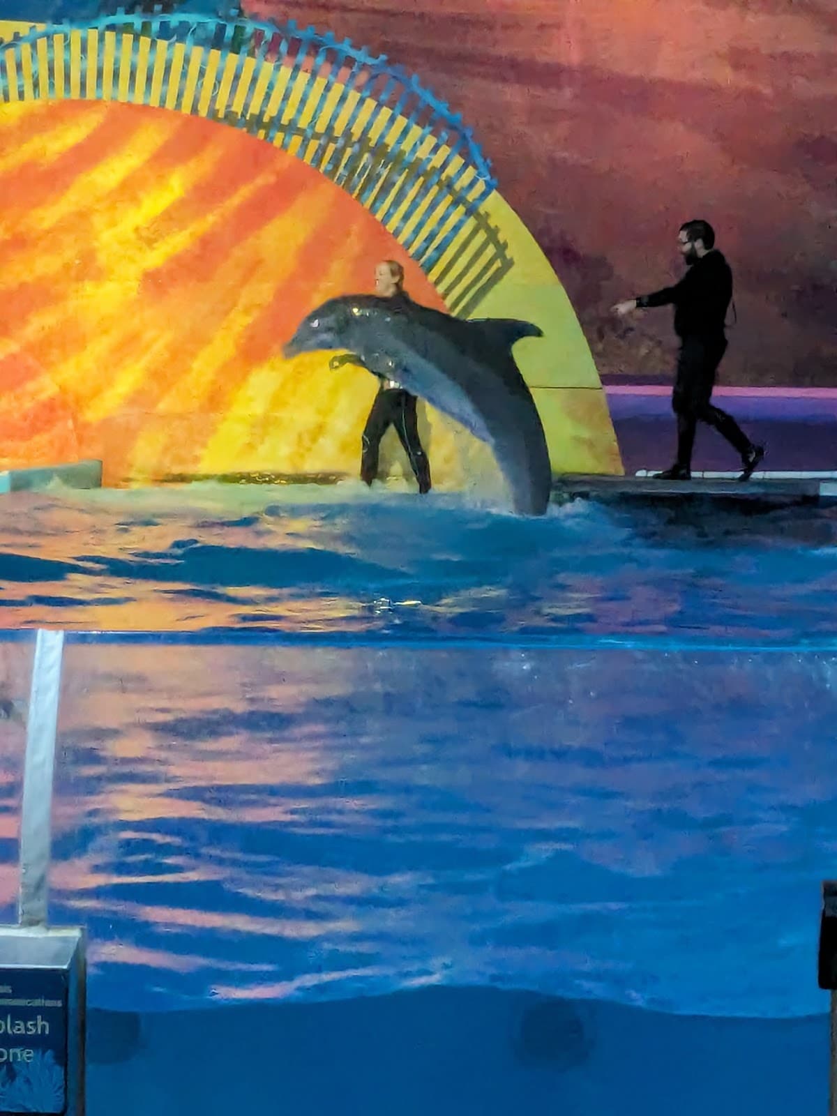 St. Vincent Dolphin Pavilion
