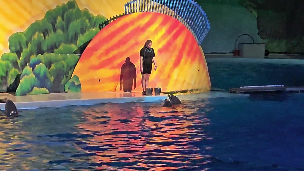 St. Vincent Dolphin Pavilion