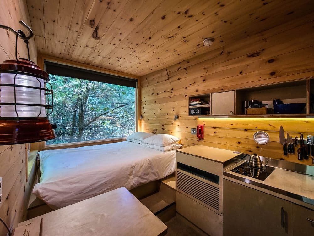 Cabinscape
