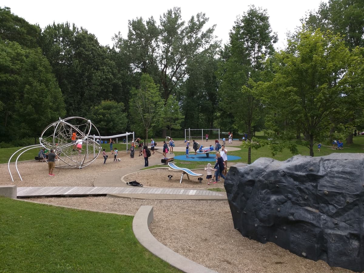 Salamander playground