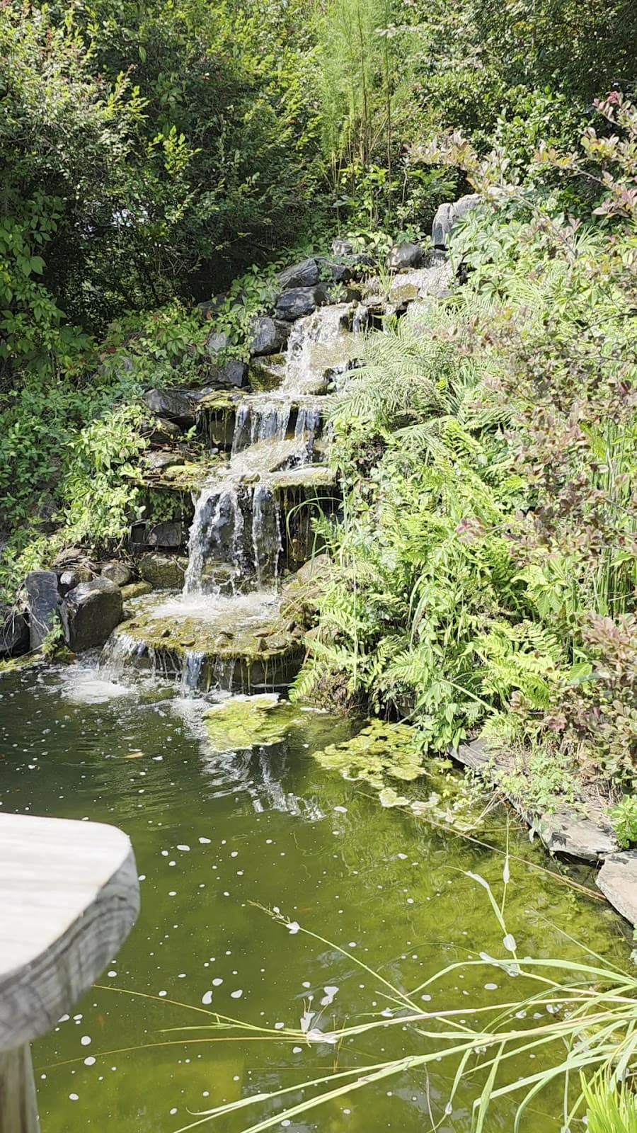 Coastal Georgia Botanical Gardens at the Historic Bamboo Farm