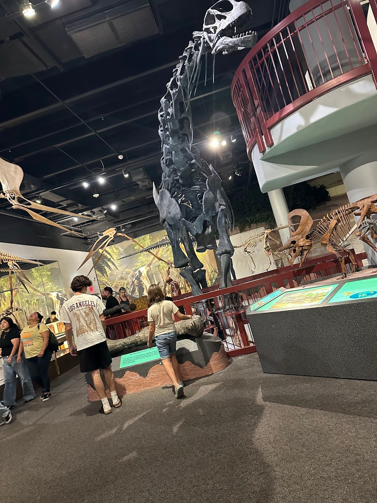 Arizona Museum of Natural History