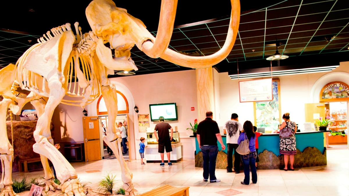 Arizona Museum of Natural History
