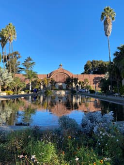 Lily Pond