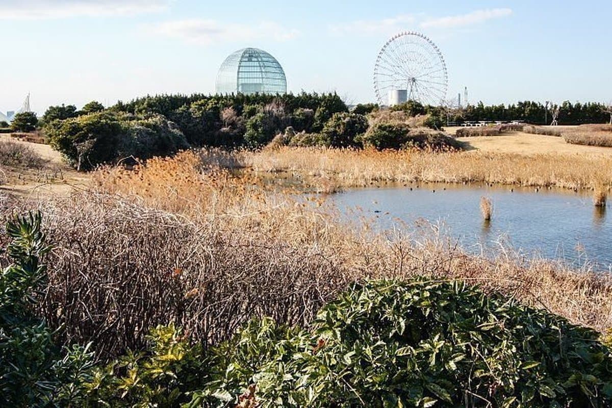 Kasai Rinkai Park