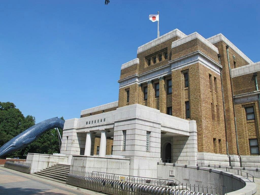 National Museum of Nature and Science