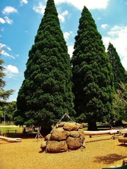 Westmoreland Park