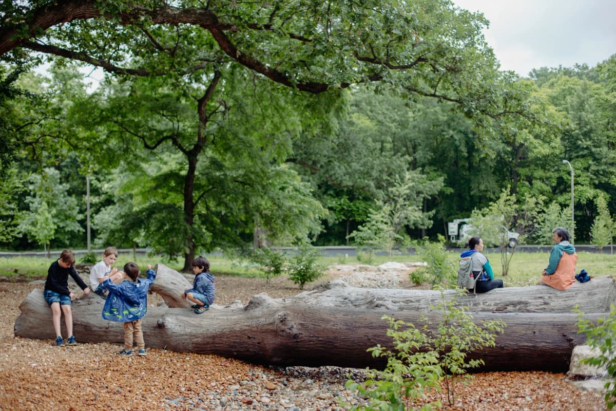 Anne O'C. Albrecht Nature Playscape