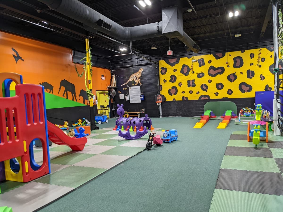 VinKari Safari: Children's Indoor Playground & Party Place