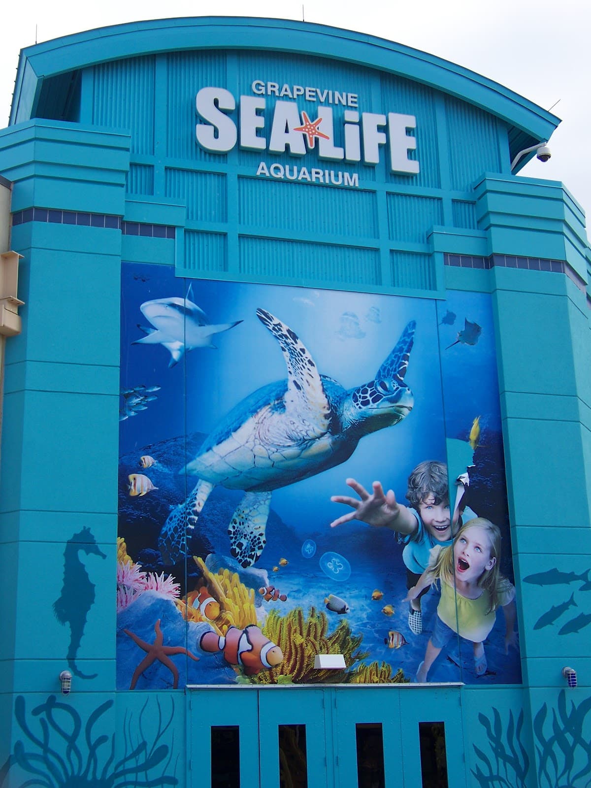 SEA LIFE Grapevine Aquarium
