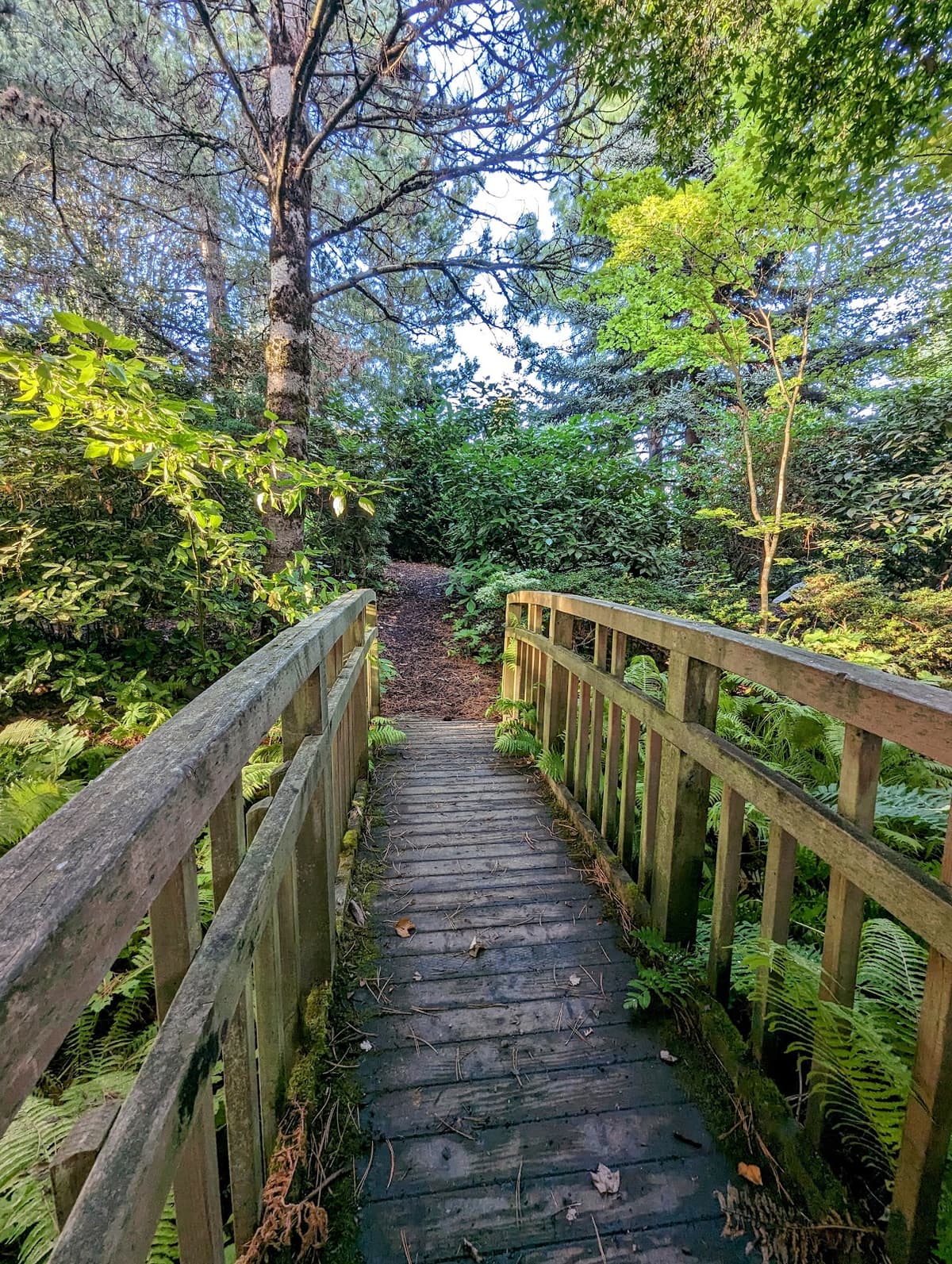 SSC Arboretum