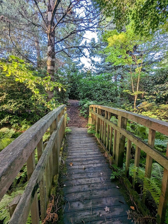 SSC Arboretum — photo 1 of 2