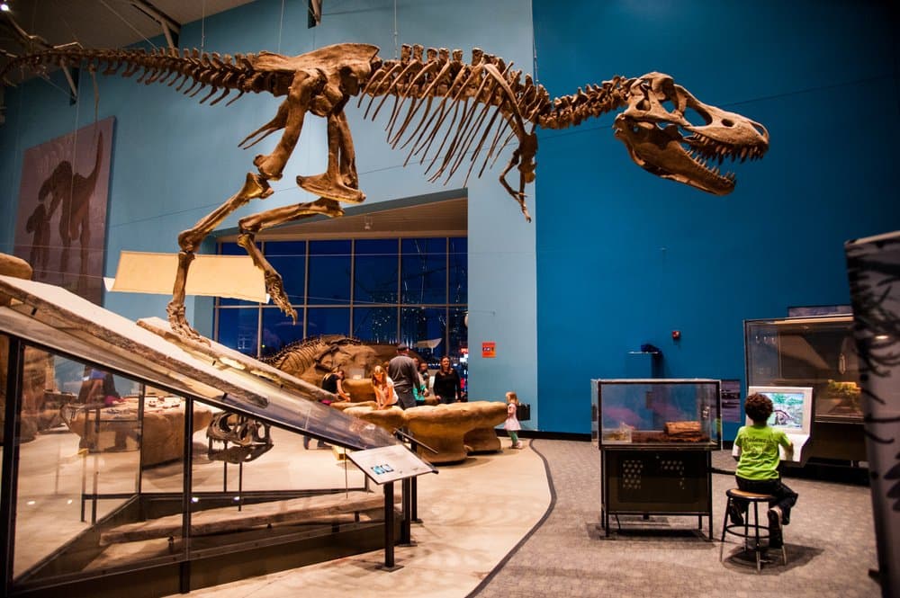 Maryland Science Center — photo 1 of 6