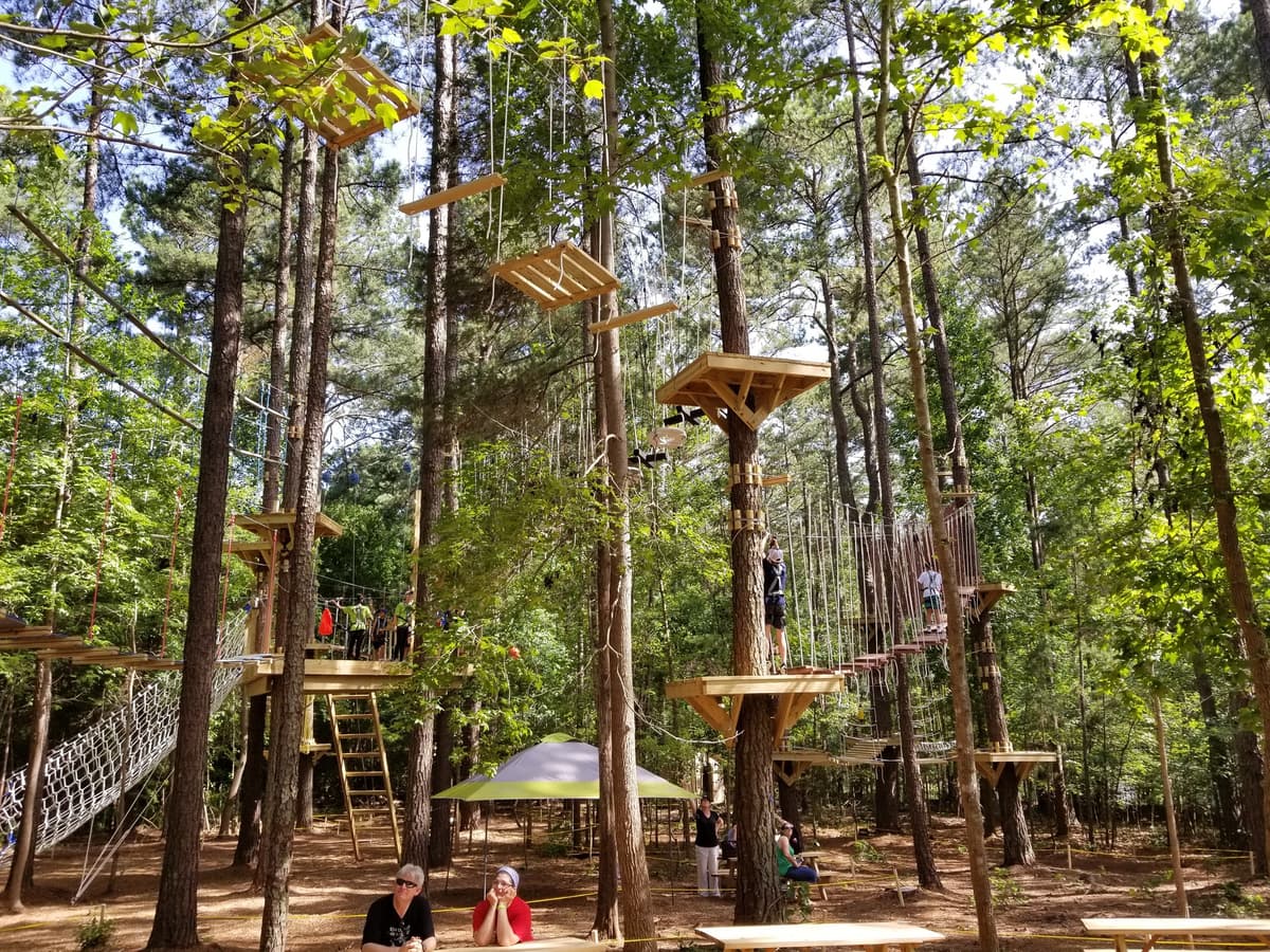 TreeRunner Raleigh Adventure Park