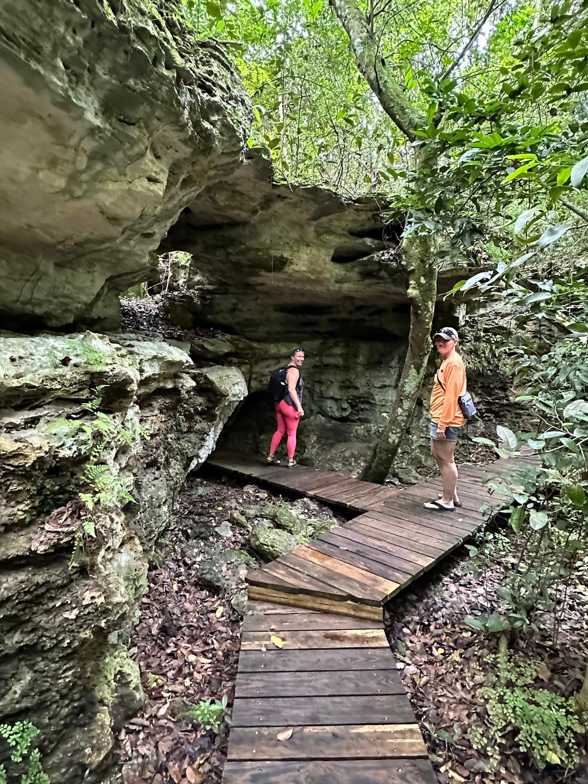 Primeval Forest National Park
