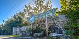 Primeval Forest National Park