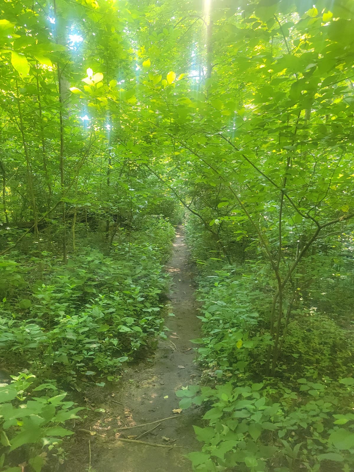 California Woods Nature Preserve & Center