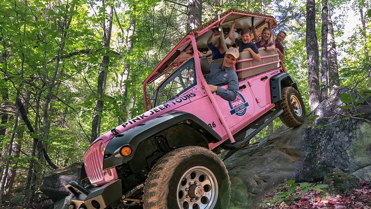 Wilderness Adventure Forest