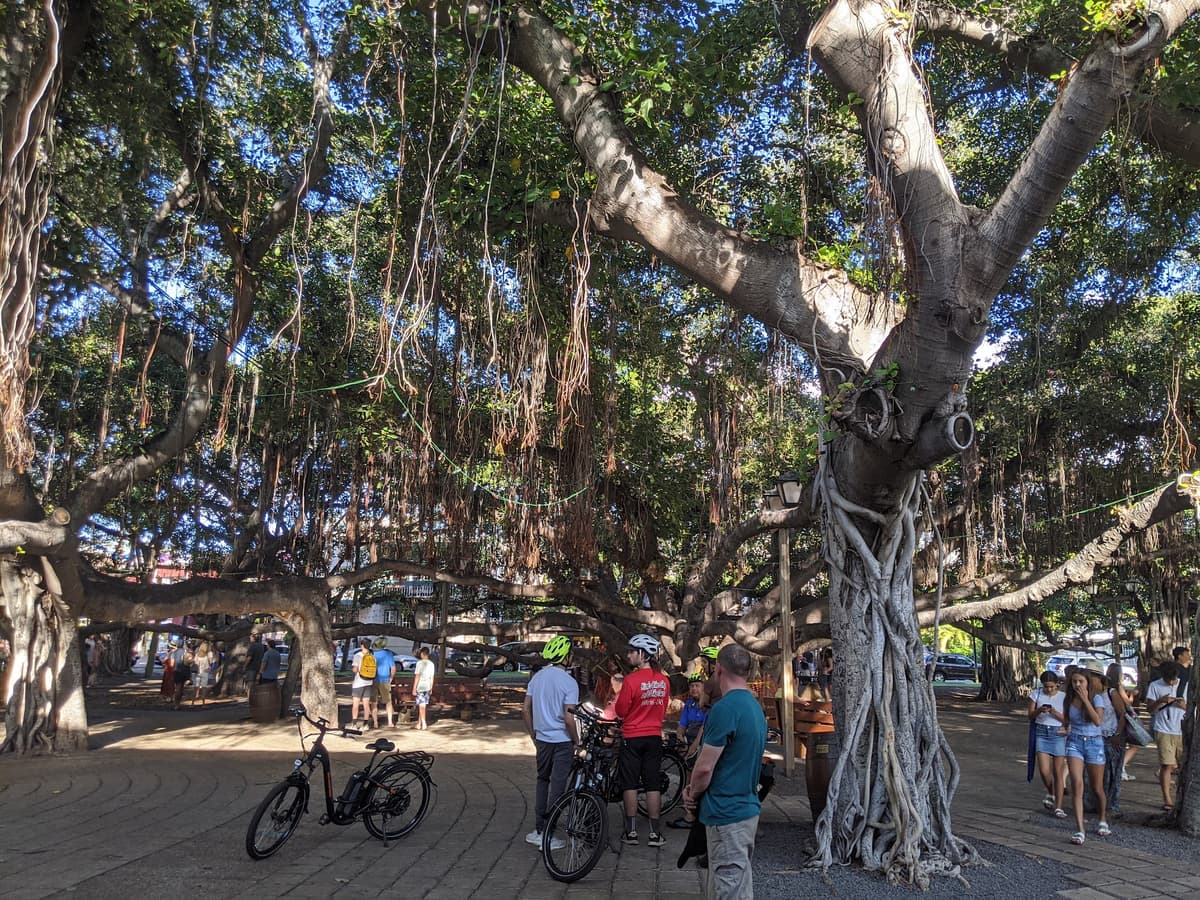 Lahaina Recreation Center