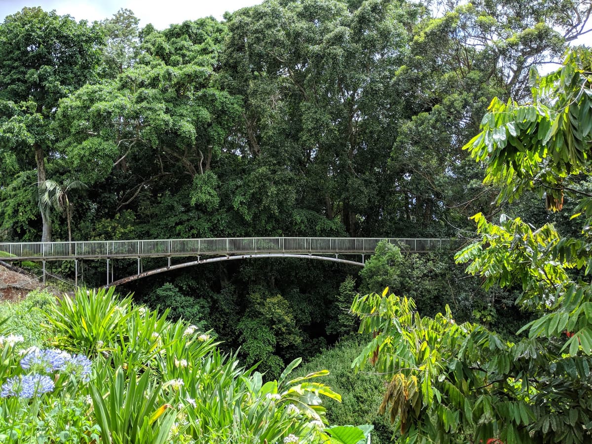 Wahiawa Botanical Garden