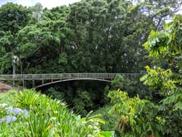Wahiawa Botanical Garden
