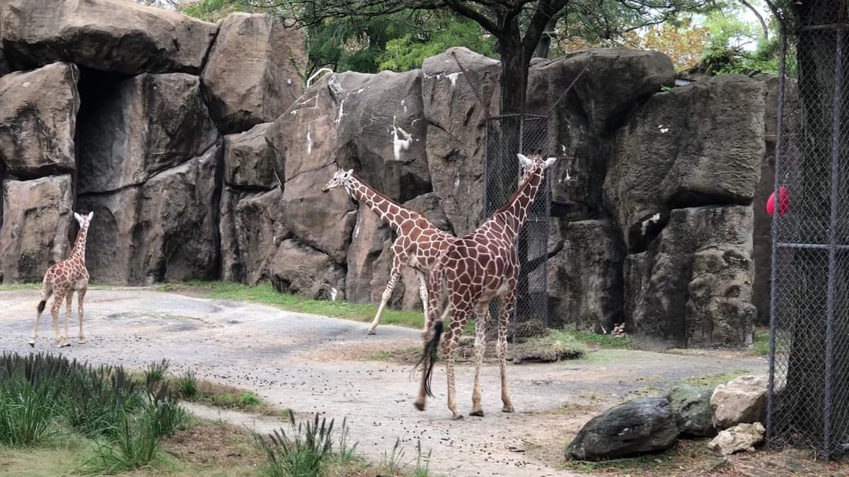 Philadelphia Zoo