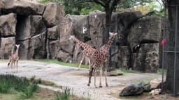 Philadelphia Zoo