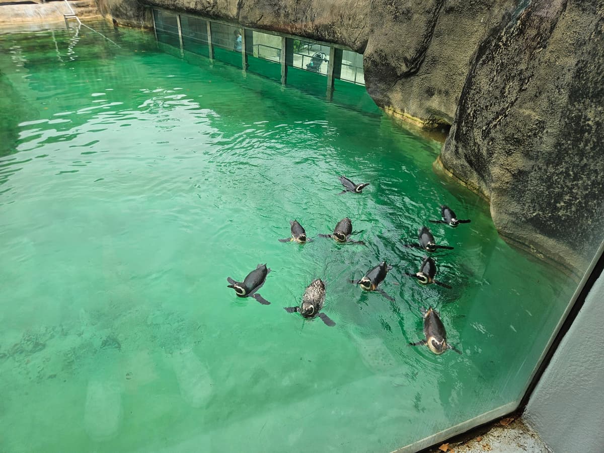 Philadelphia Zoo