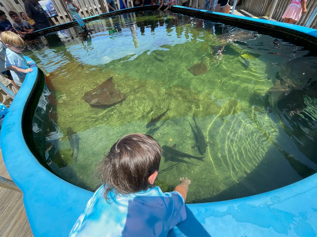 Gulf Shores Toddler Activity Guide